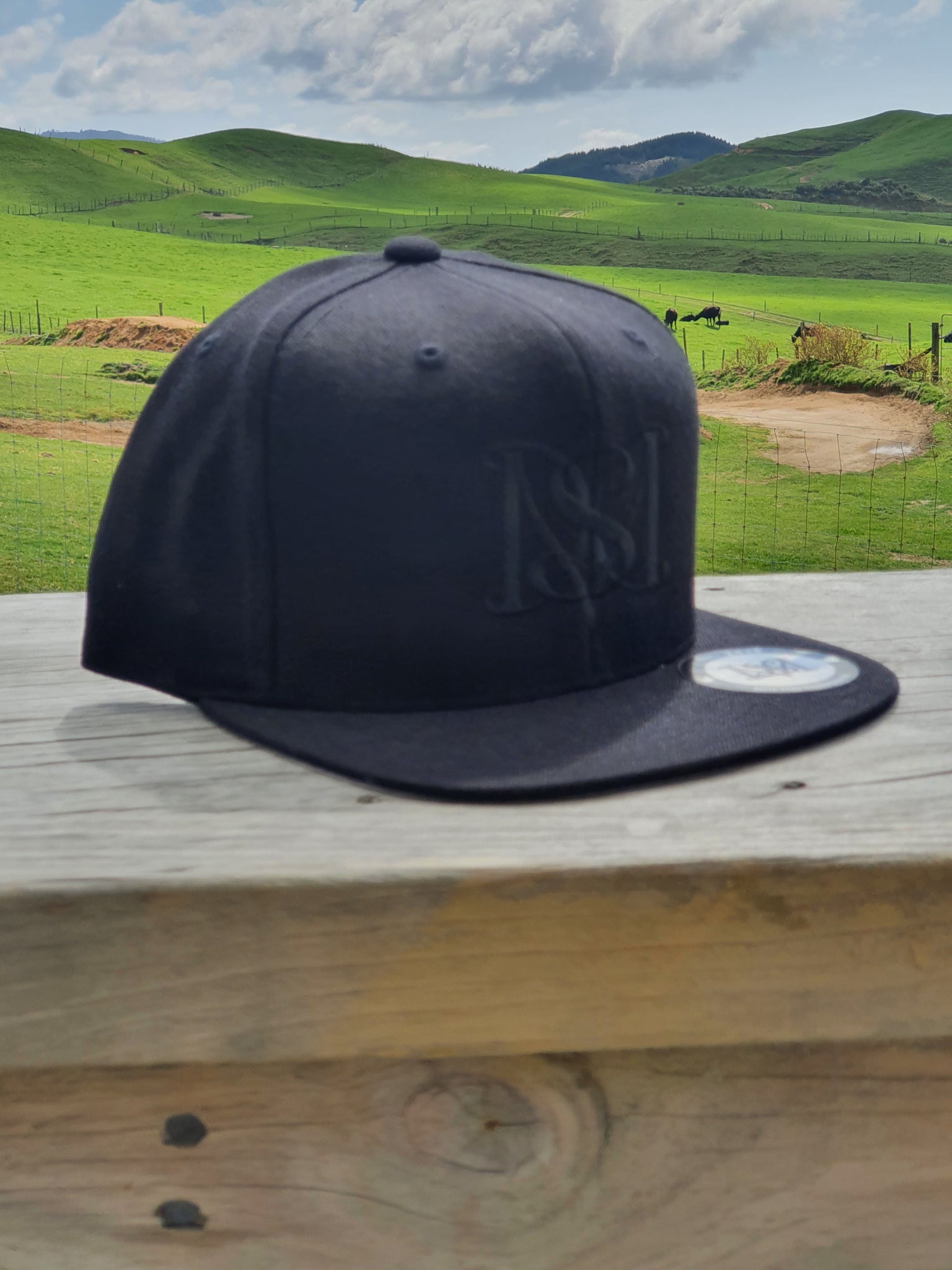 Snapback Caps - Black cap, Black Logos