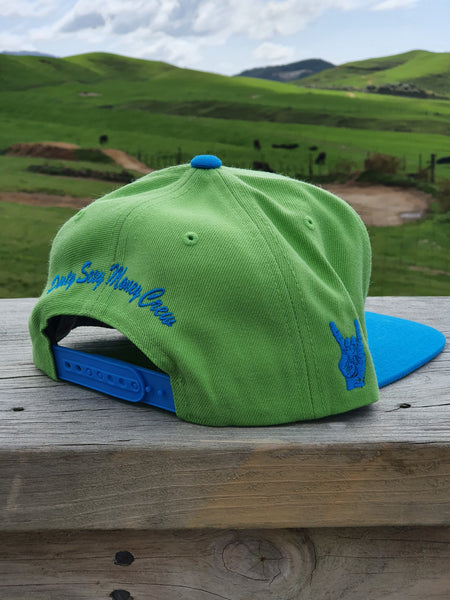 Snapback Caps - Lime green cap & Blue logos